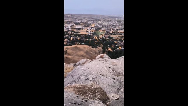 Elazığ'da dağ keçileri görüldü