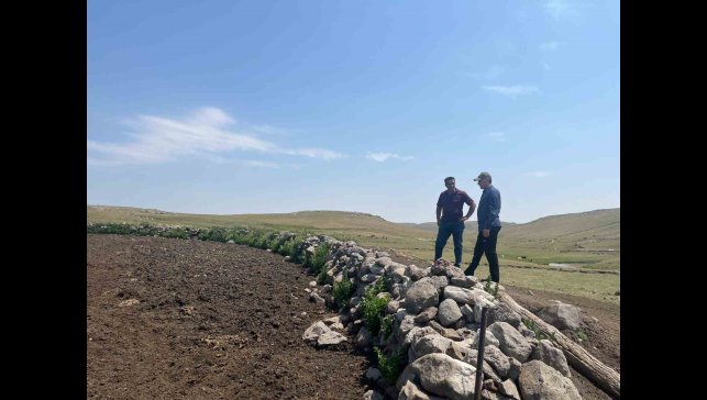 Kars'ta şap hastalığıyla mücadele sürüyor