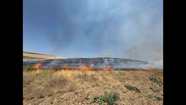 Van'da kuru ot yangını: Yüzlerce dönüm arazi kül oldu