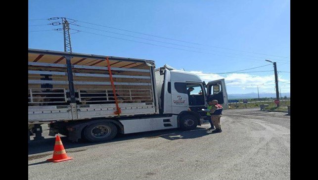 Jandarma ekiplerinden düzensiz göçmen operasyonu