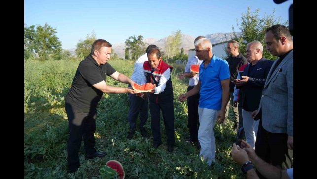 Erzincan'ın bereketli topraklarında üretilen karpuzun hasadı başladı