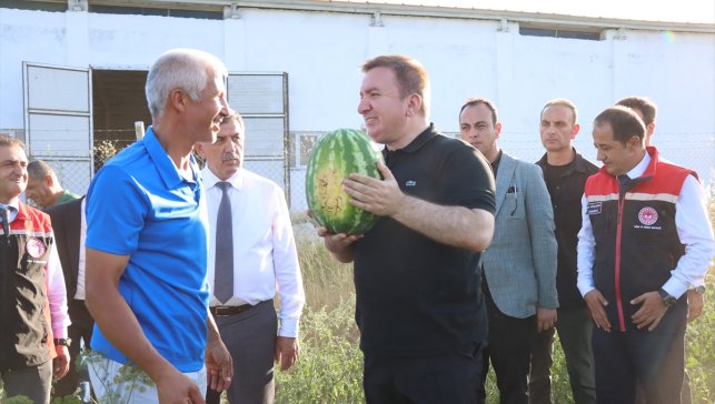 Erzincan Valisi Aydoğdu, genç çiftçinin arazisinde karpuz hasadı yaptı