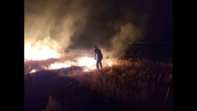 Muş'ta anız yangını korkuttu