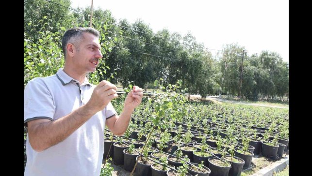 Erzurum Orman Bölge Müdürü Karakurt: "Bölgede yıl sonuna kadar 908 bin fidan toprakla buluşturulacak"