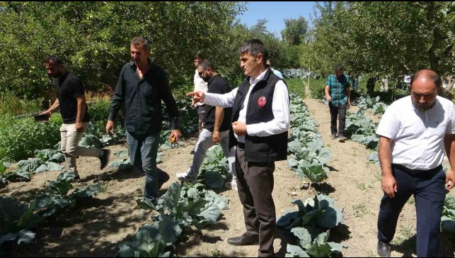 Modern basınçlı sulama sistemiyle hem işçilikten hem de verimden kazandı