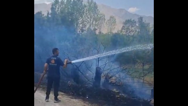 Gevaş'ta bahçe yangını korkuttu
