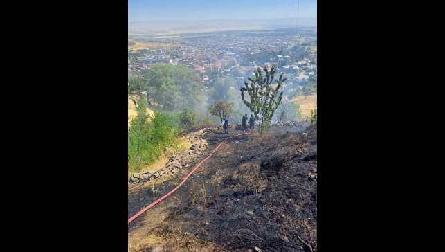 Kale bağlarında çıkan yangını korkuttu