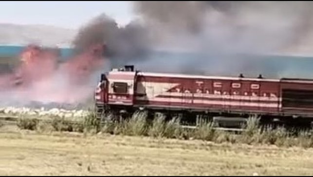 Van'da Erçek Gölü sazlıklarında yangın