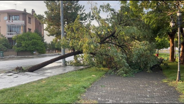Erzincan'da sağanak ve fırtına hayatı felç etti