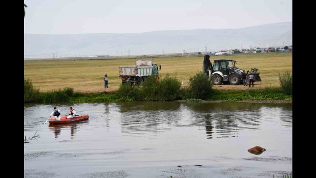 Kura nehrine düşerek boğulan inek can verdi