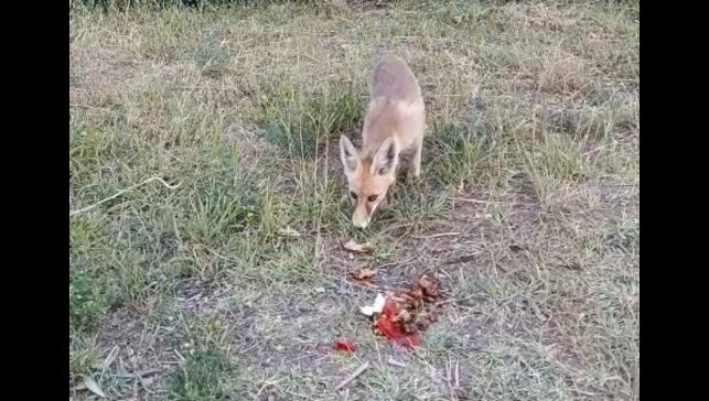 İlhan öğretmenden anlamlı davranış