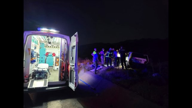 Bingöl'de otomobil ata çarptı: 2 yaralı