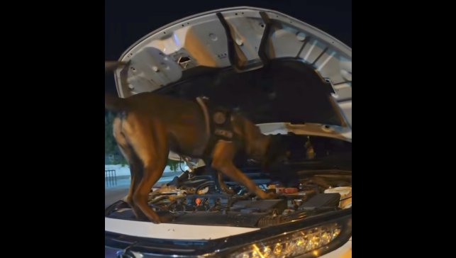 Muş'ta polis ekiplerinden suç ve suçlulara geçit yok