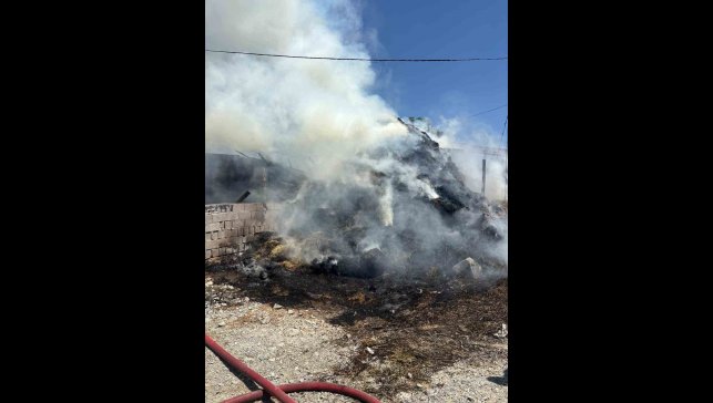 Erzincan'da samanlık ve ahır yandı