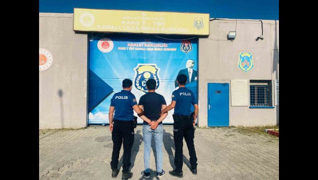 Kars Kalesi'nin otlarını yakan kişinin 27 suç kaydı çıktı