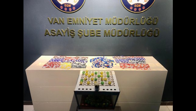 Van'da kesinleşmiş hapis cezası bulunan 110 kişi tutuklandı