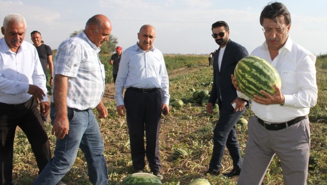AK Parti Van Milletvekili Türkmenoğlu çiftçileri ziyaret etti