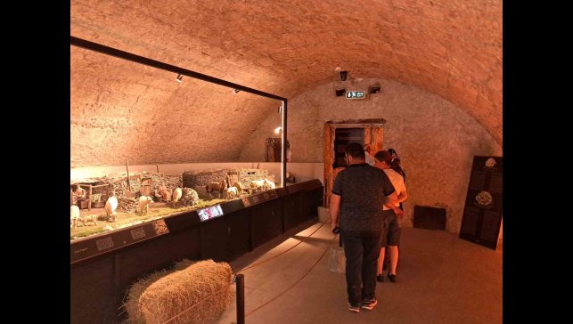 Kars'ın cazibe merkezi: Peynir müzesi