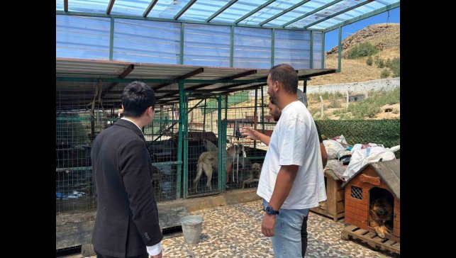 Kaymakam Tutal, Hayvan Barınağı'nda incelemelerde bulundu