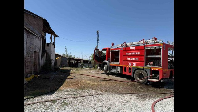Muş'ta ev ve samanlık yangını