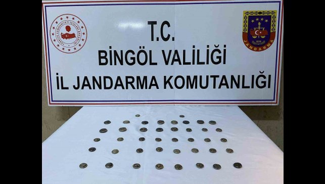 Bingöl'de 42 adet sikke ele geçirdi