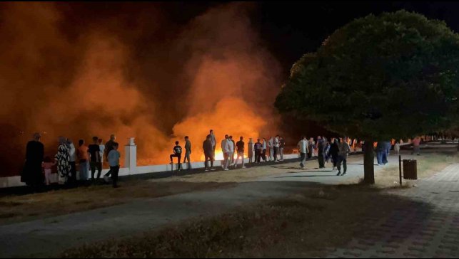 Erciş'te anız yangını