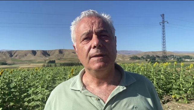 Doğu'da ayçiçeği ve mısır üretimi artıyor