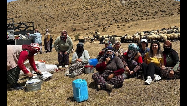 Yüksekova'da süt hijyeni eğitimi sürüyor