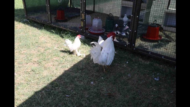 Engelsiz Yaşam Merkezi'nden yeni rehabilitasyon uygulaması