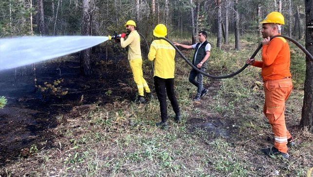 Kars'ta ormanlık alanda çıkan örtü yangını söndürüldü