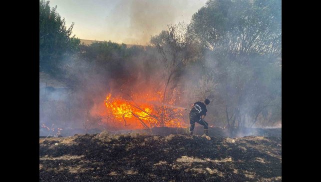 Malatya'da anız yangınında 50 dönümlük arazi zarar gördü