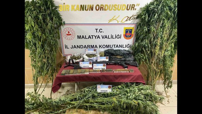 jandarmadan uyuşturucu operasyonu: 1 gözaltı