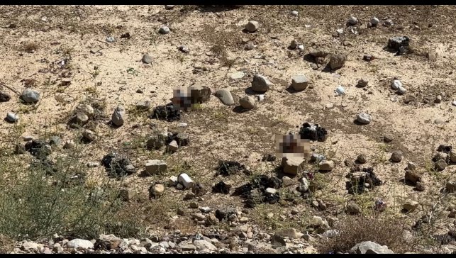 Yüksekova'da mezarlık yanına bırakılan bira şişeleri tepki topladı