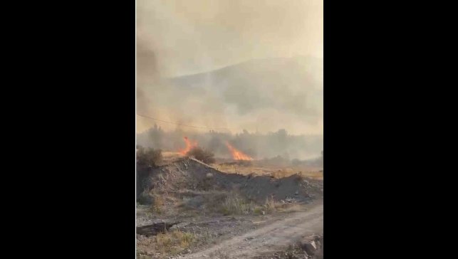 Elazığ'da örtü yangını söndürüldü