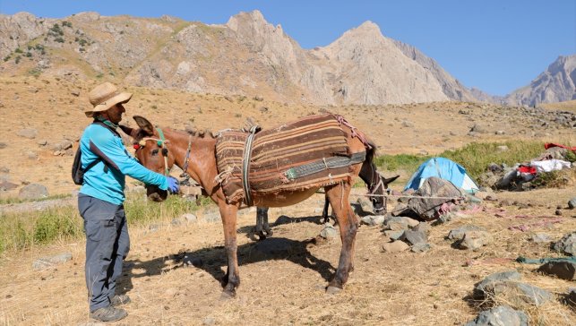 Hakkari'deki zirvelere tırmanan dağcıların ağır yükünü katırlar hafifletiyor