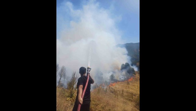 Bingöl'de kırsal alanda çıkan yangın söndürüldü