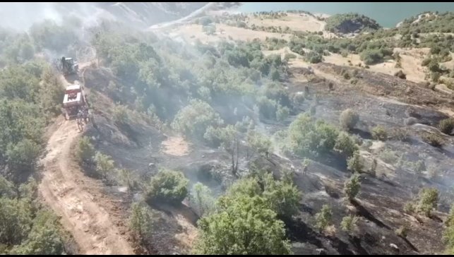 Ormanlık alanda çıkan yangın büyümeden söndürüldü