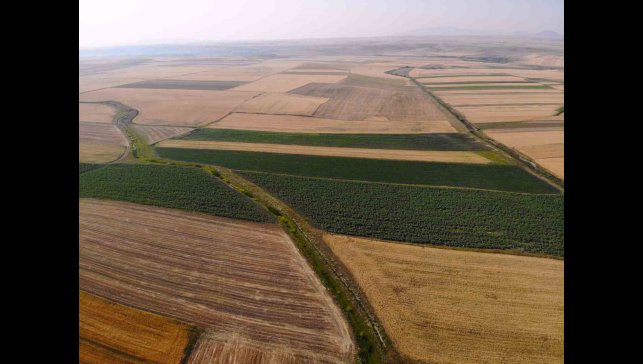 Kars'ta tarım arazileri halı deseni gibi rengarenk