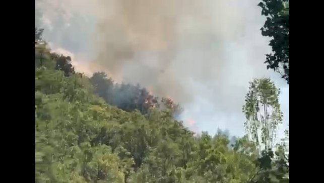 Şemdinli'de orman yangını