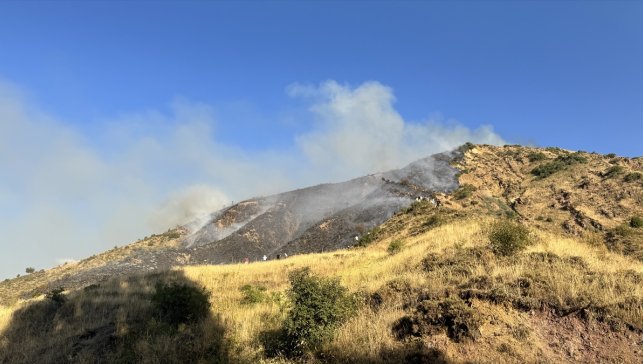 Erzurum'da çıkan örtü yangını söndürüldü