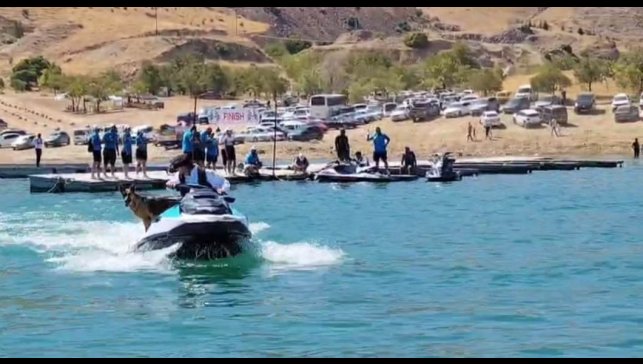 Elazığ'da sahibiyle jet ski turu atan köpek gülümsetti