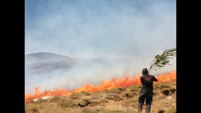Bahçesaray'da arazi yangını
