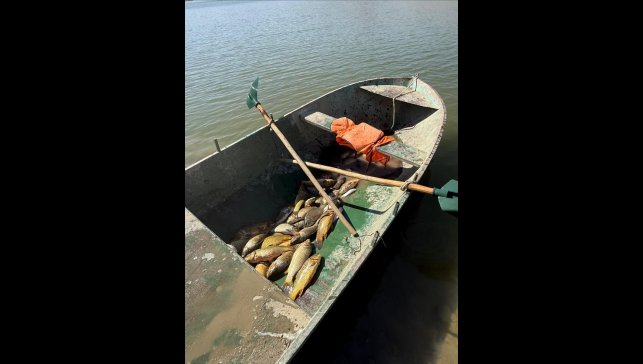 Van'da kaçak balık avlayan 2 kişiye 25 bin 670 lira para cezası verildi