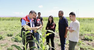 Ağrı'da çiftçinin bostanı örnek oldu: Sebze, meyve ve tahıl bir arada