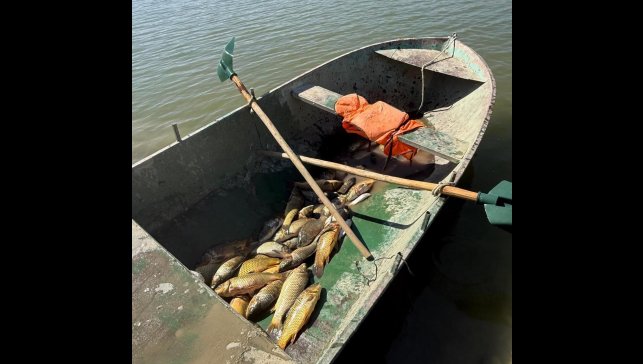 Van'da kaçak balık avlayan 2 kişiye 25 bin lira ceza