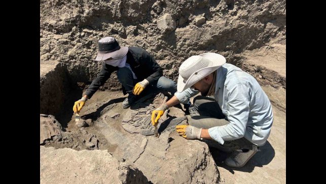 Eski Van Şehri'nde 1. Dünya Savaşı'nın izleri: Gülle ve çok sayıda mermi kovanı bulundu