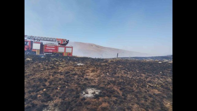 Ahmediye Geçidinde örtü yangını söndürüldü