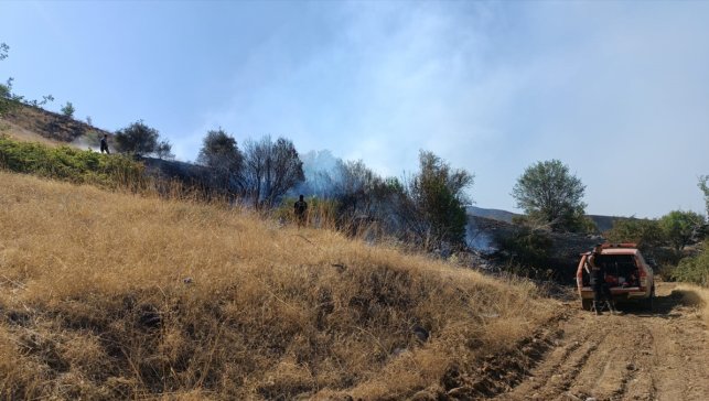 Malatya'daki orman yangınına müdahale ediliyor