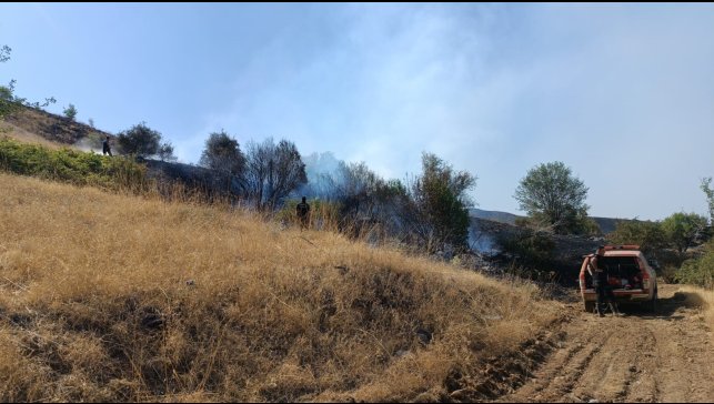 Malatya'daki orman yangını kontrol altına alındı