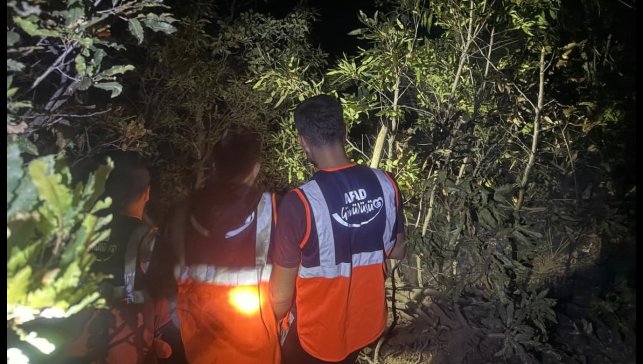 Hakkari'de orman yangını